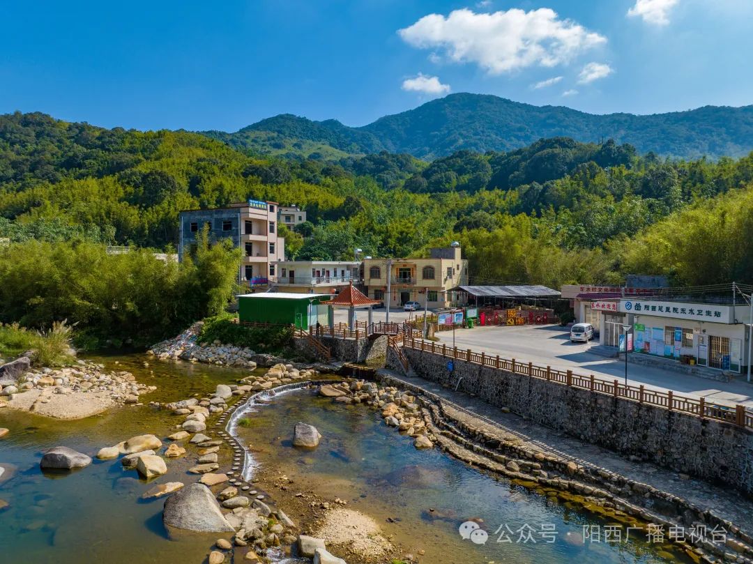 山海阳西苹果版苹果价格一览表大全
