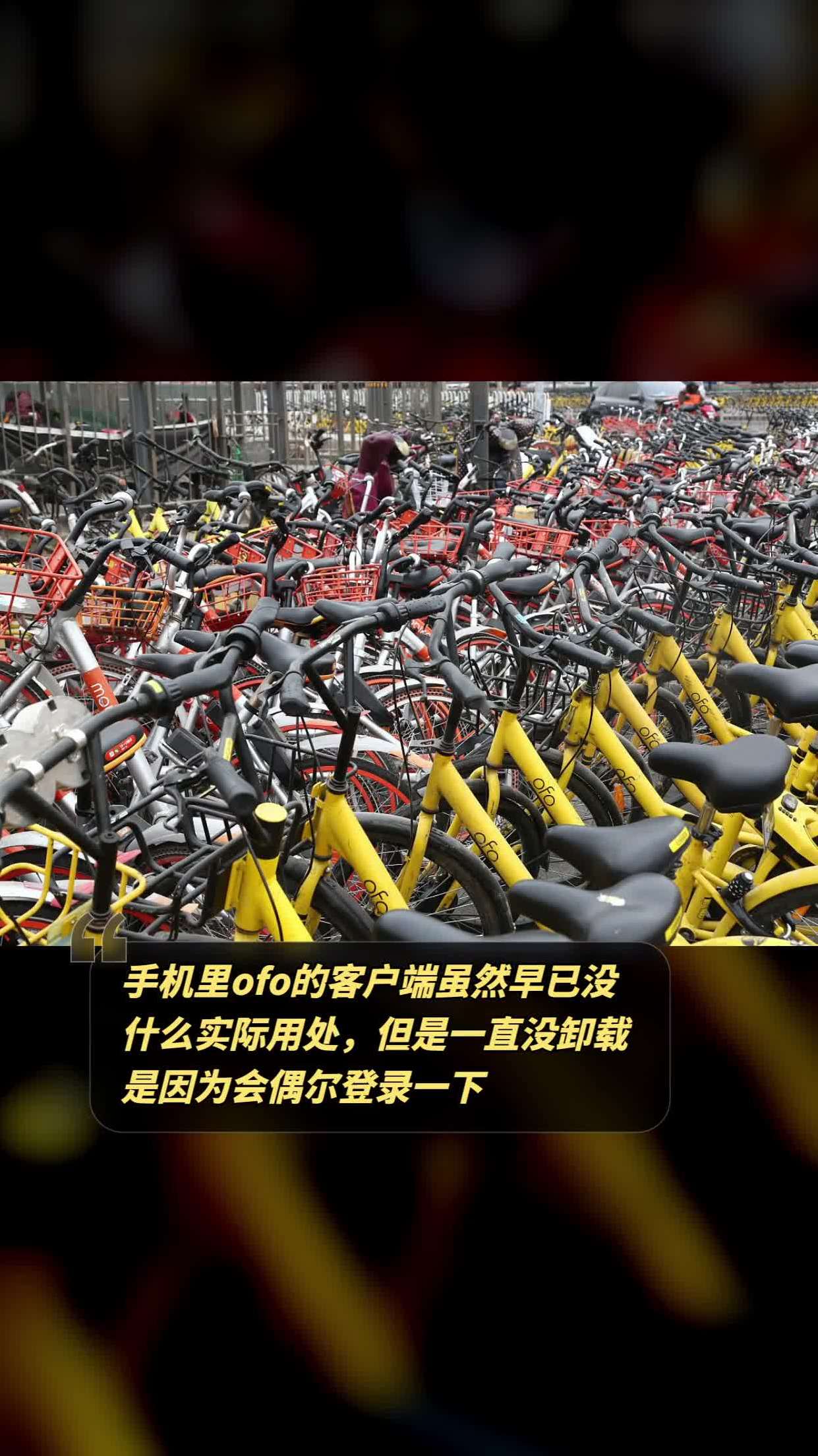 ofo客户端定位信息ofo共享单车app下载