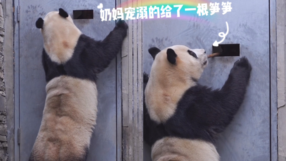 小奶妈苹果版下载贪玩游戏盒子苹果版-第2张图片-太平洋在线下载