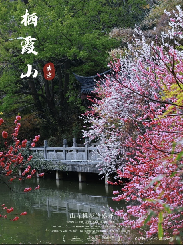爱栖霞手机客户端爱岚山app官方客户端
