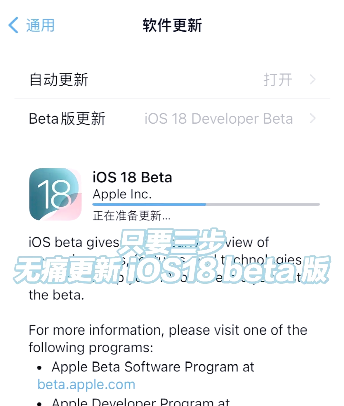 苹果beta版软件计划苹果ibeta尝鲜派官网