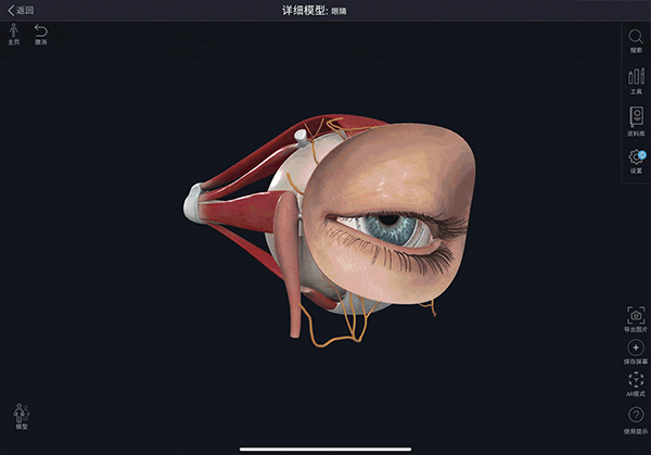 解剖app安卓版免费医学3d解剖软件