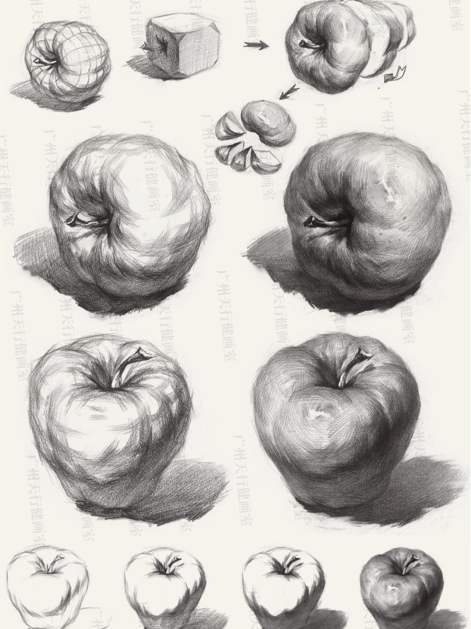 素描静物软件苹果版免费素描入门自学教程视频-第2张图片-太平洋在线下载