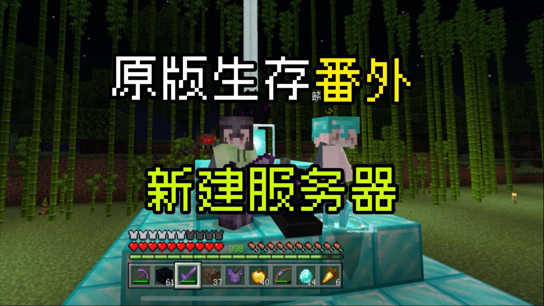 手机版minecraft服务器aternosminecraft服务器-第2张图片-太平洋在线下载